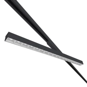 Irmin_TR_HE_Louvre_black_and_white_rotated