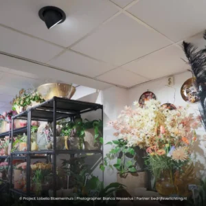 Light4U-Sana-M-HE-Project