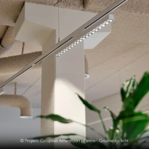 irmin-louvre-project-photo